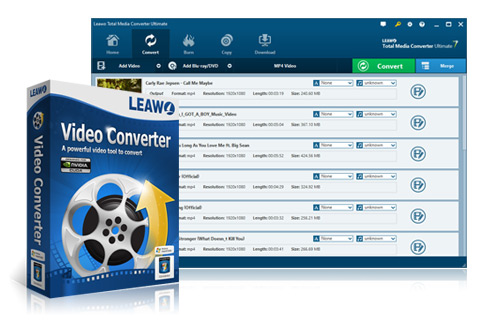 Leawo Video Converter