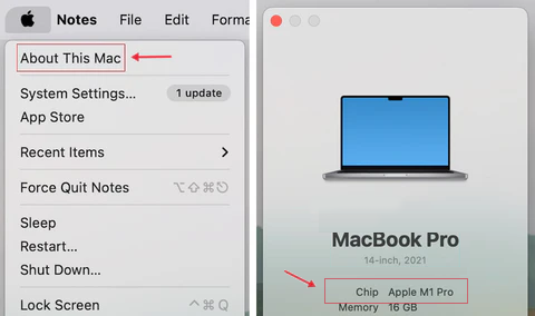 How to check your Mac's chip type?